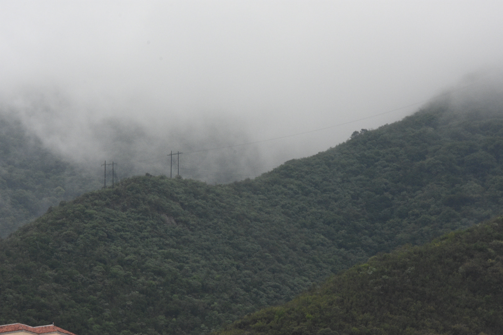 Nikon D3400 sample photo