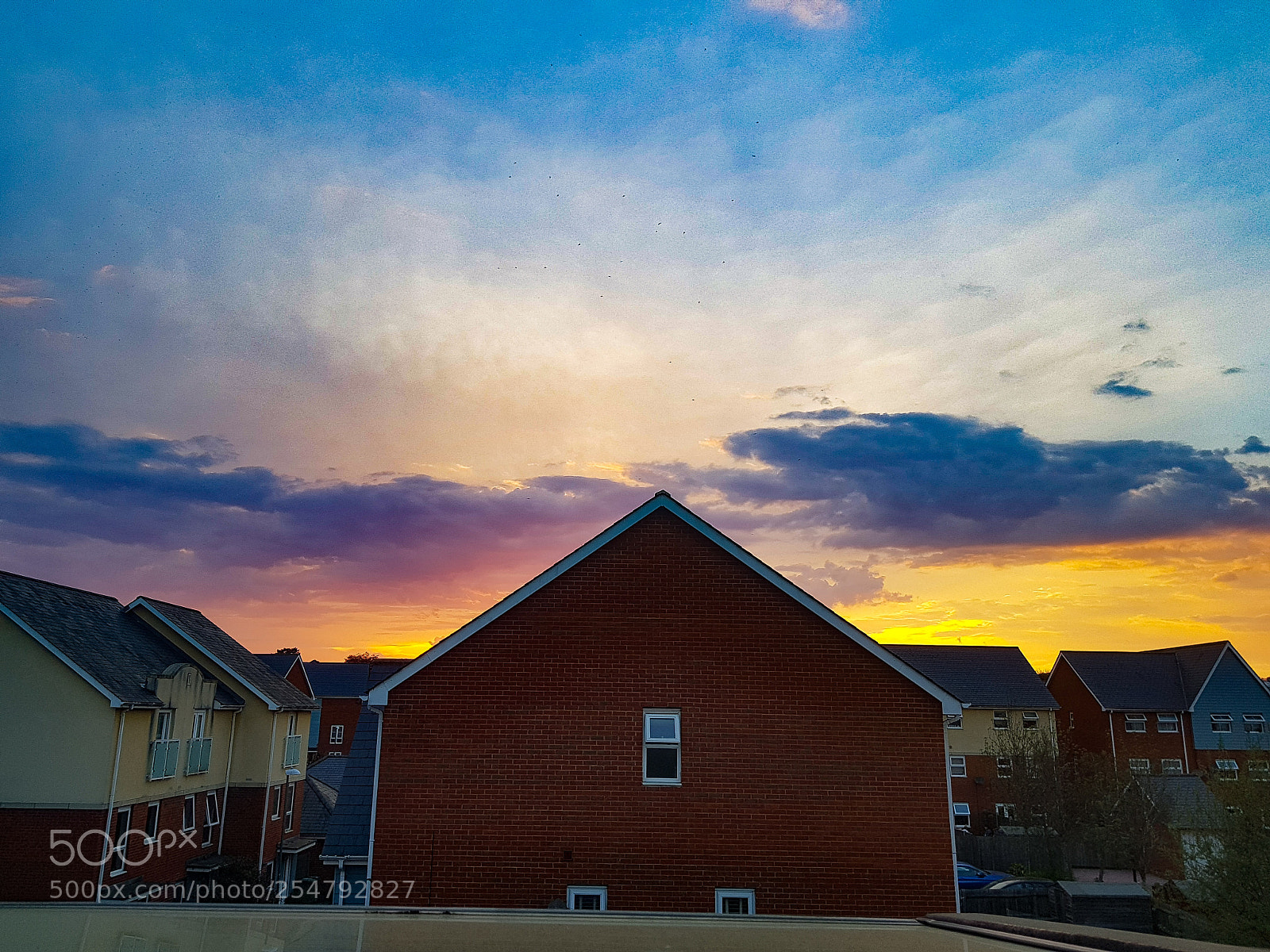 Samsung Galaxy S8+ sample photo. Untitled photography