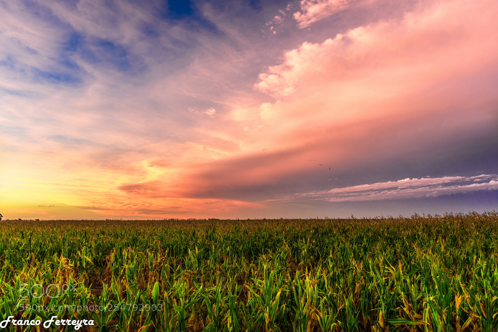Nikon D3400 sample photo. Atardecer en la estancia photography