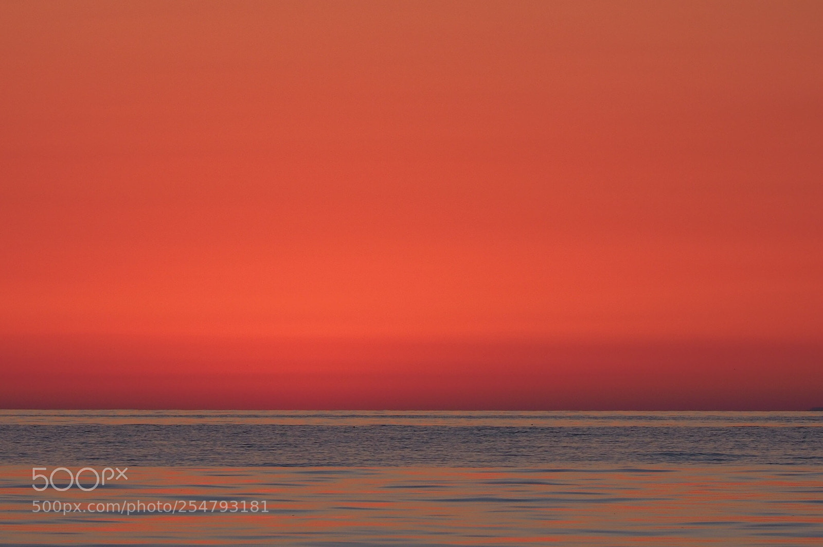Olympus OM-D E-M1 Mark II sample photo. Where is the sun photography