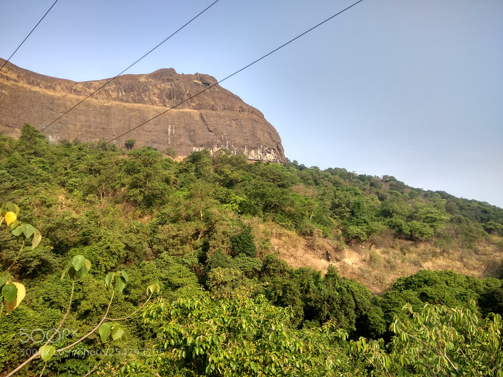 Xiaomi Redmi Note 4 sample photo. Untitled photography