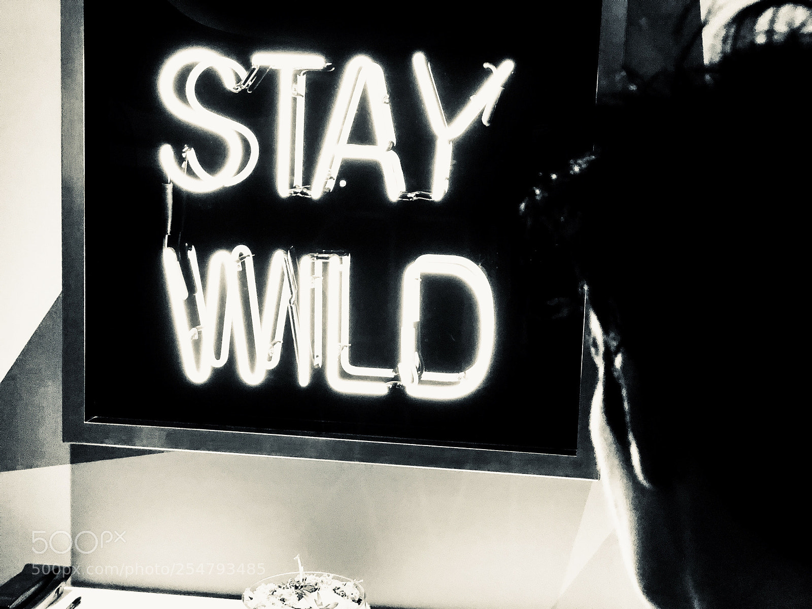 Apple iPhone X sample photo. Wildchild photography