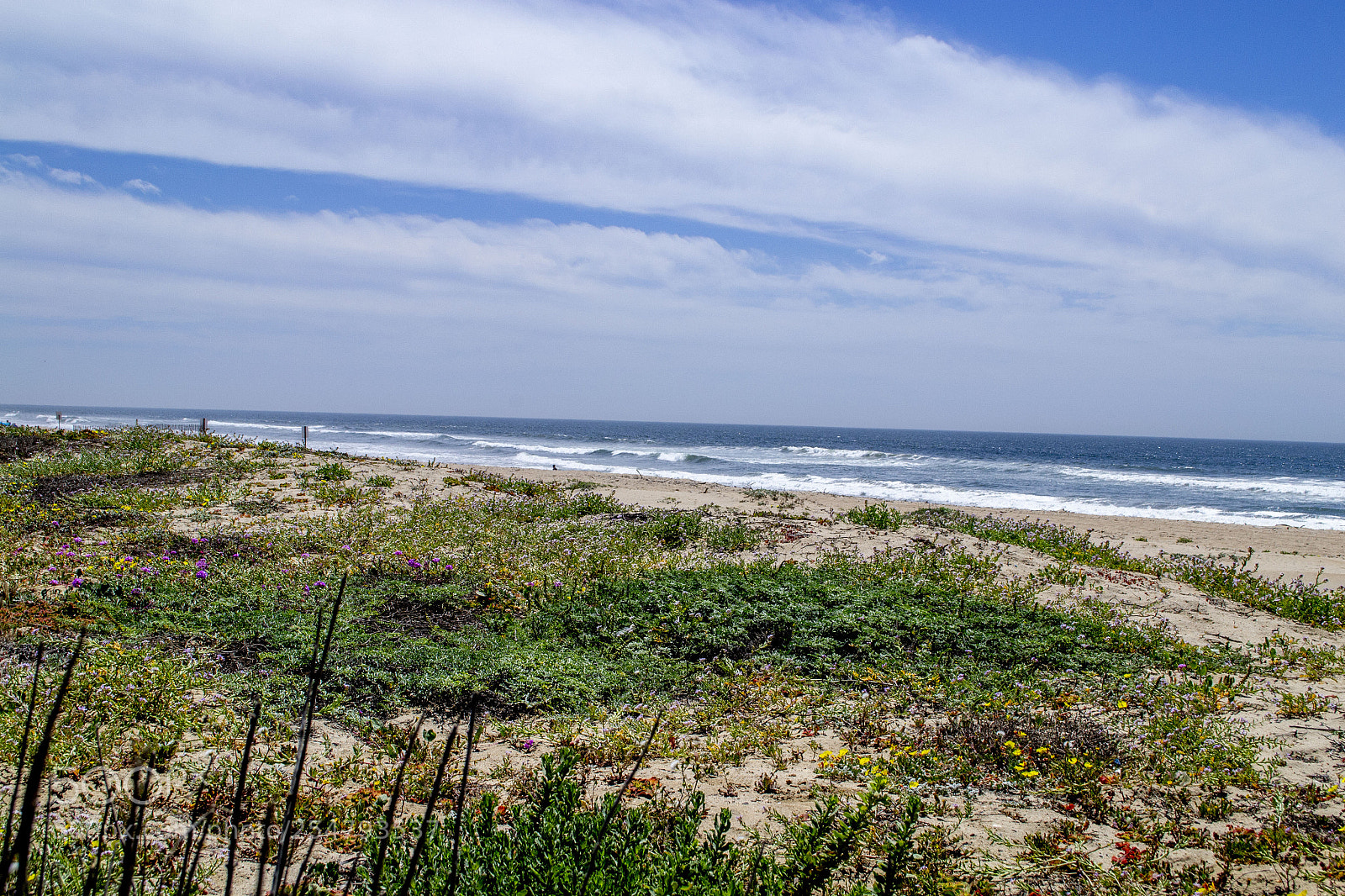 Nikon D3100 sample photo. Bike path photography