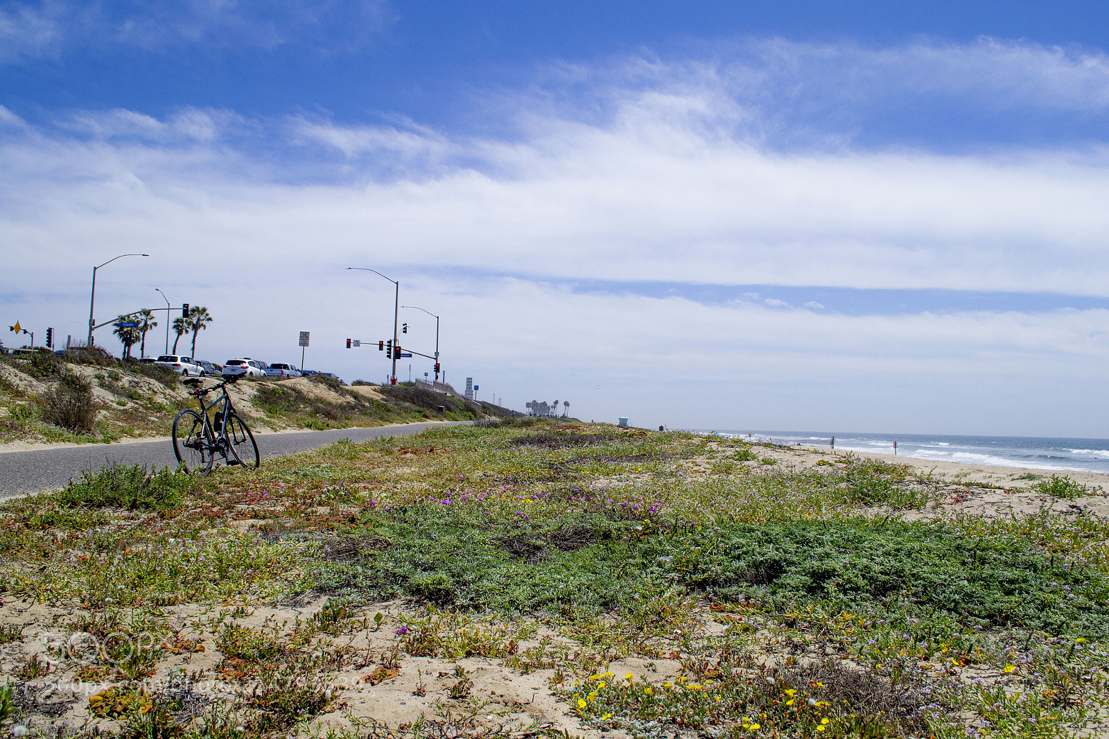 Nikon D3100 sample photo. Bike path photography