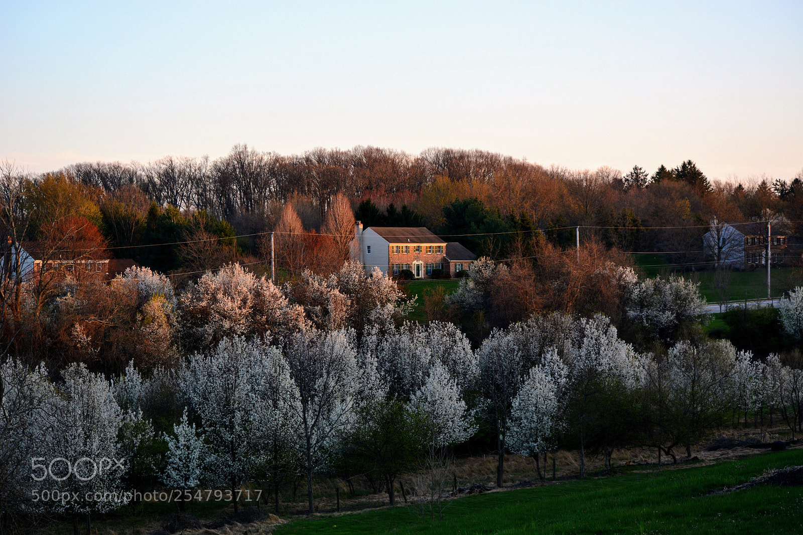 Nikon D7100 sample photo. Untitled photography