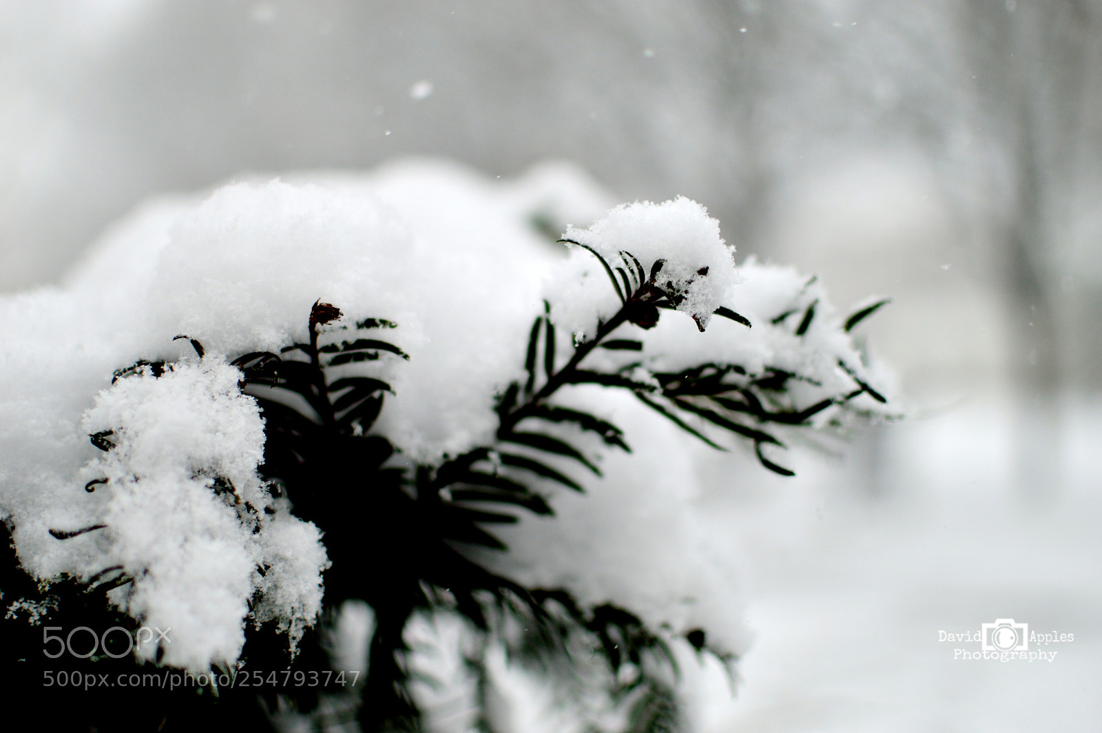 Nikon D3200 + Nikon AF-S DX Nikkor 35mm F1.8G sample photo. Snow photography