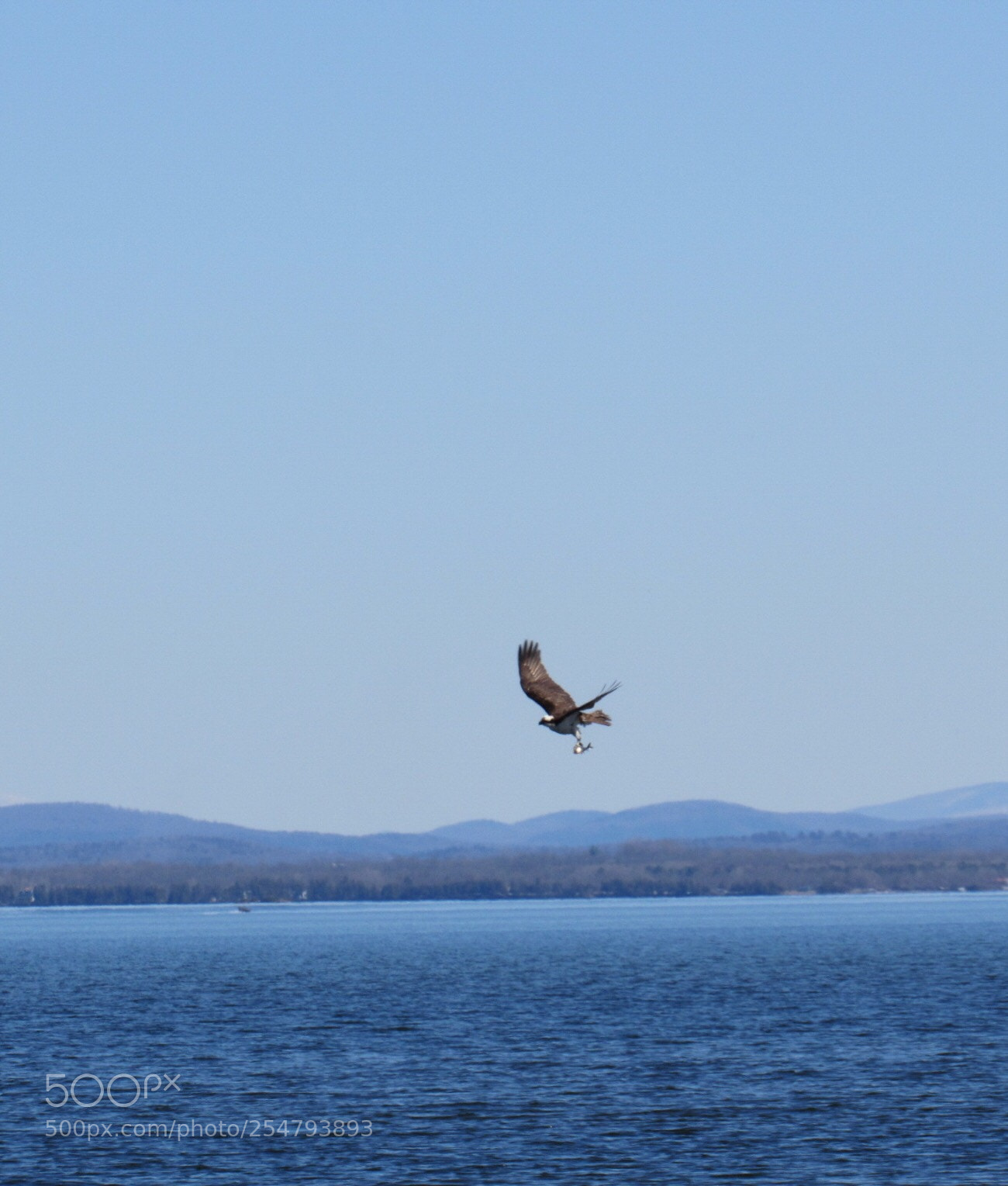 Canon PowerShot SX530 HS sample photo. Fishing photography