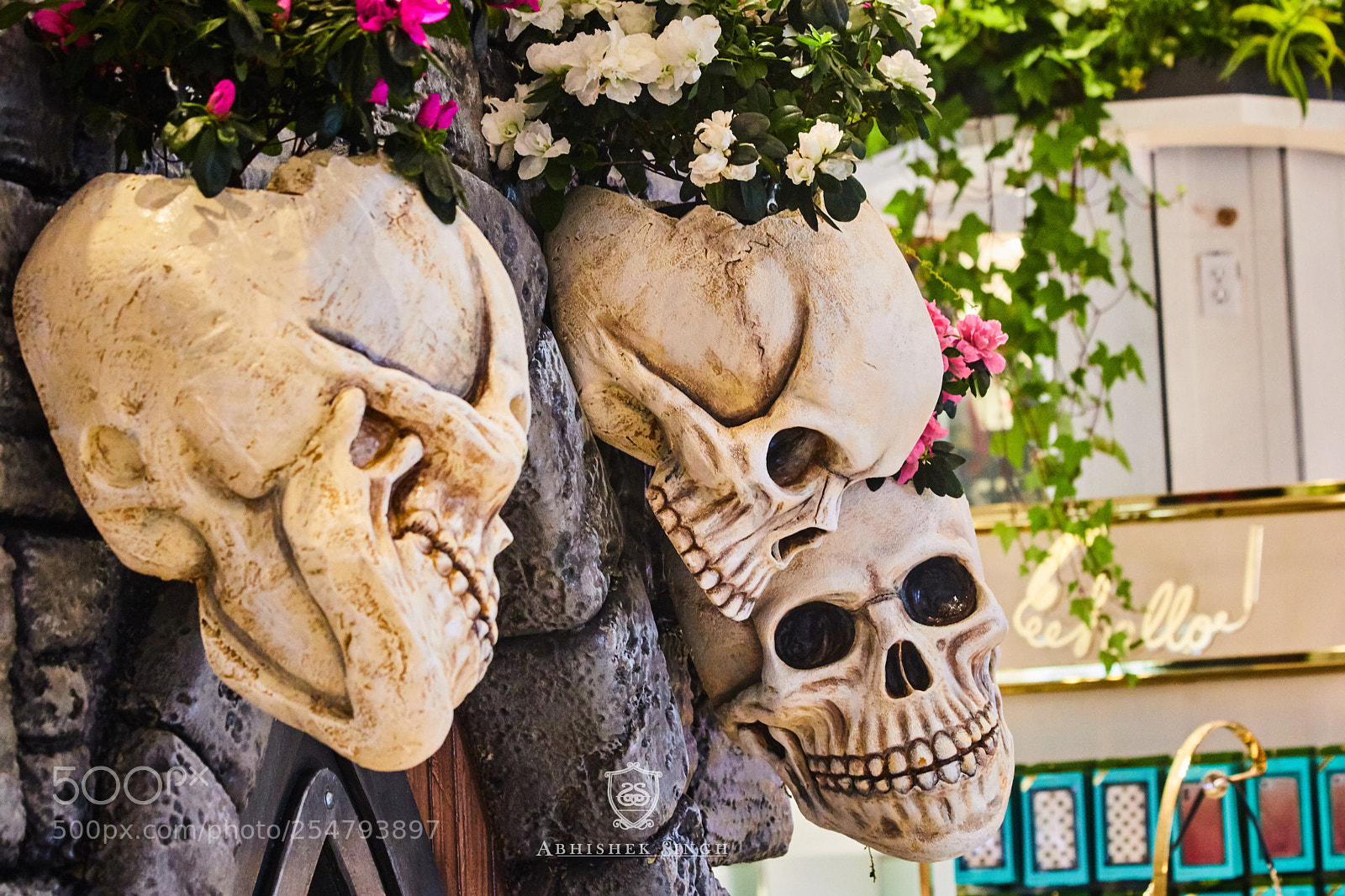 Canon EOS 750D (EOS Rebel T6i / EOS Kiss X8i) sample photo. Skull show photography