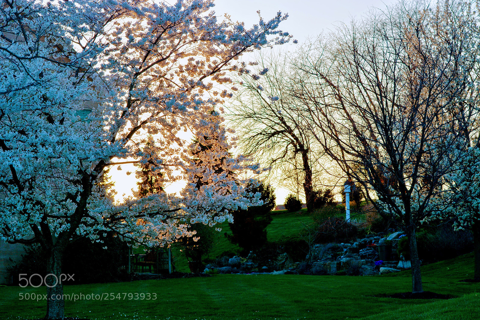 Nikon D7100 sample photo. Untitled photography