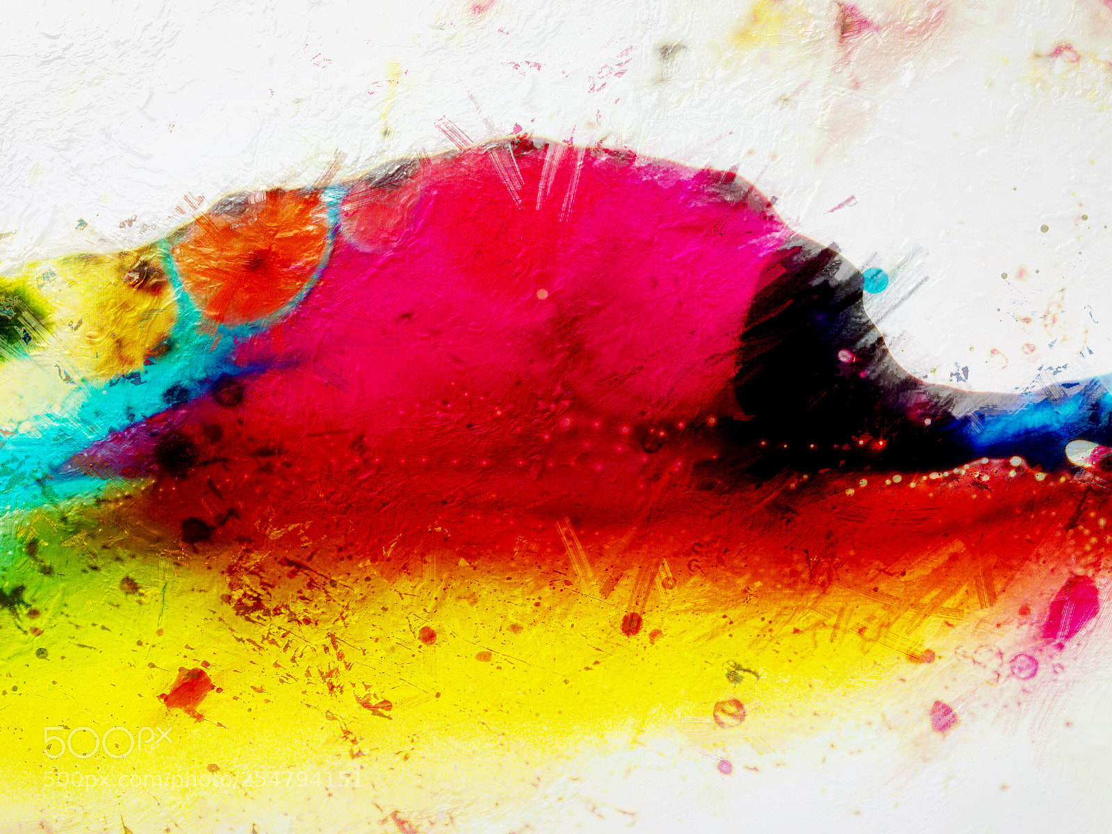 Olympus OM-D E-M1 sample photo. Ink and water macro photography