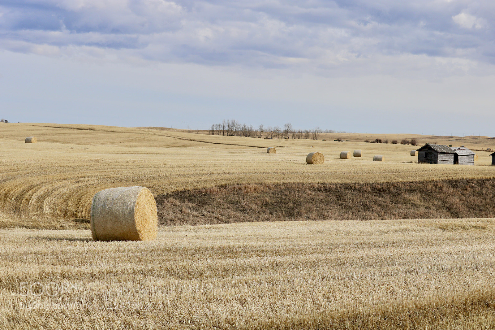 Canon EOS 750D (EOS Rebel T6i / EOS Kiss X8i) sample photo. Sunny day in the photography