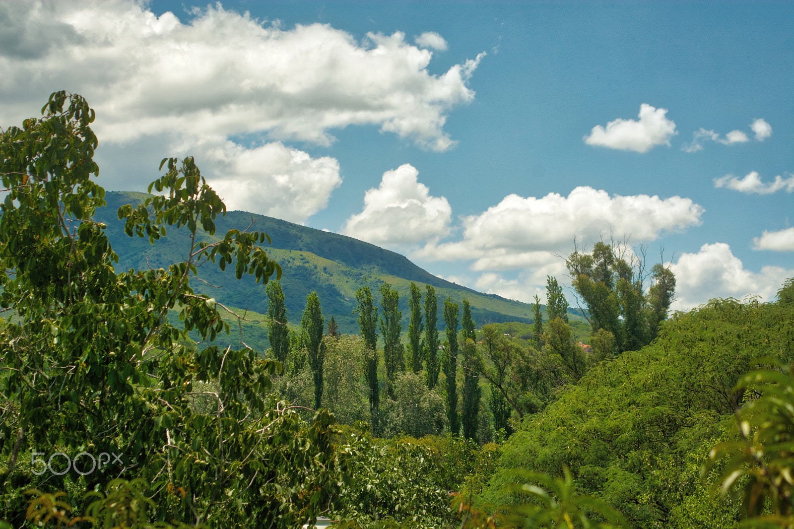 Nikon D7100 sample photo. Clear summer morning photography