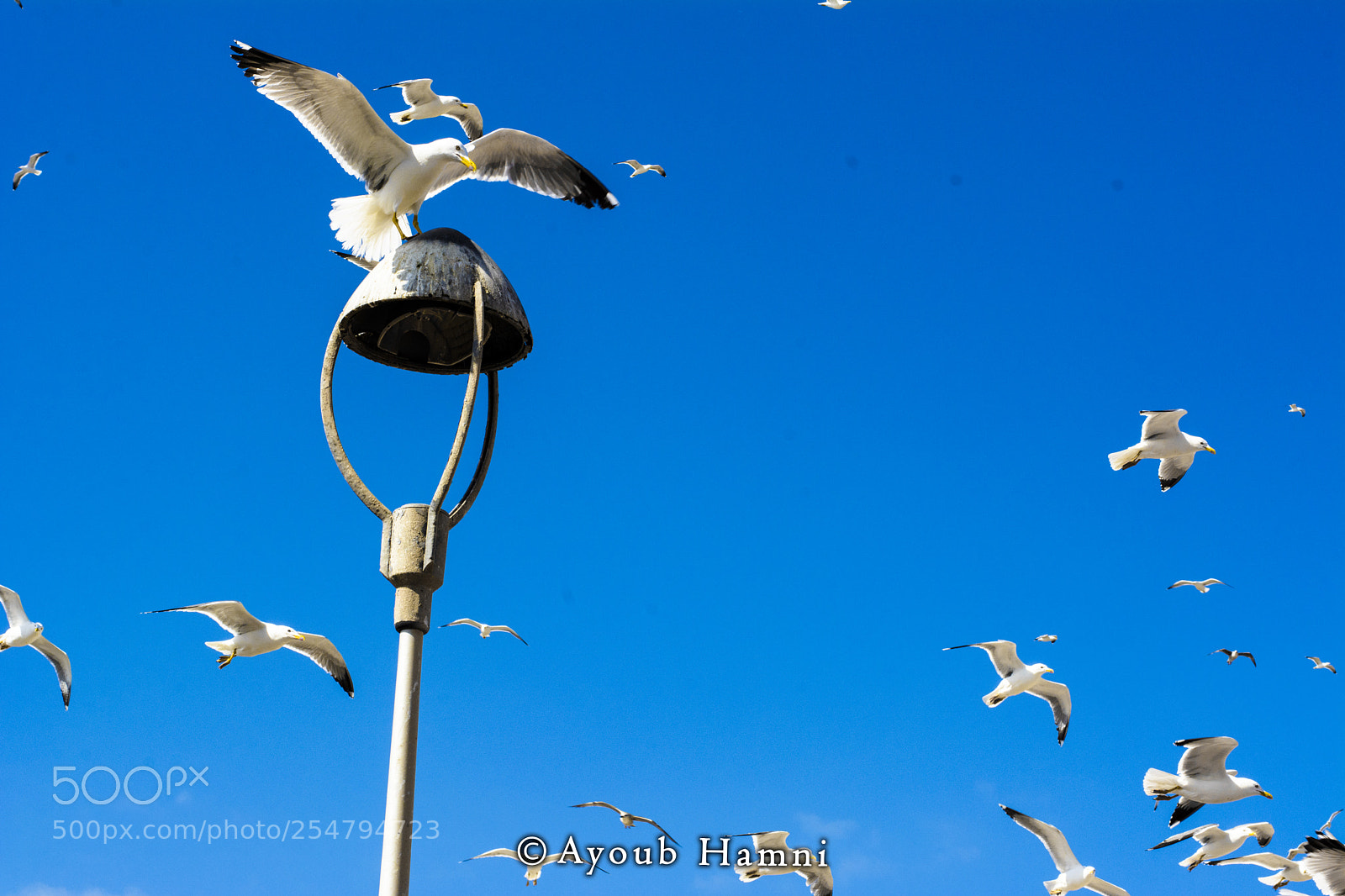 Nikon D7100 sample photo. Untitled photography