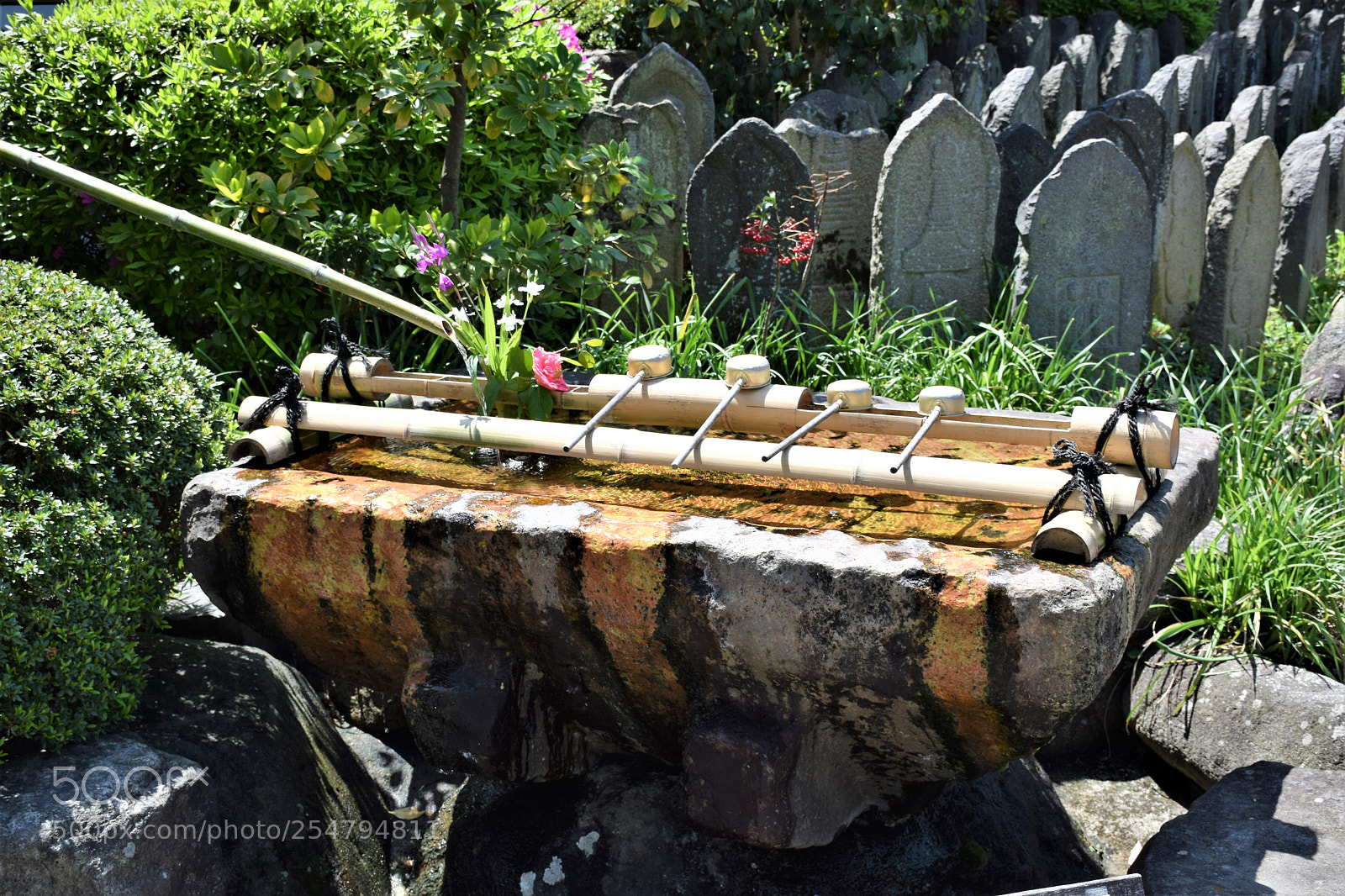 Nikon D5300 sample photo. 手水所 photography