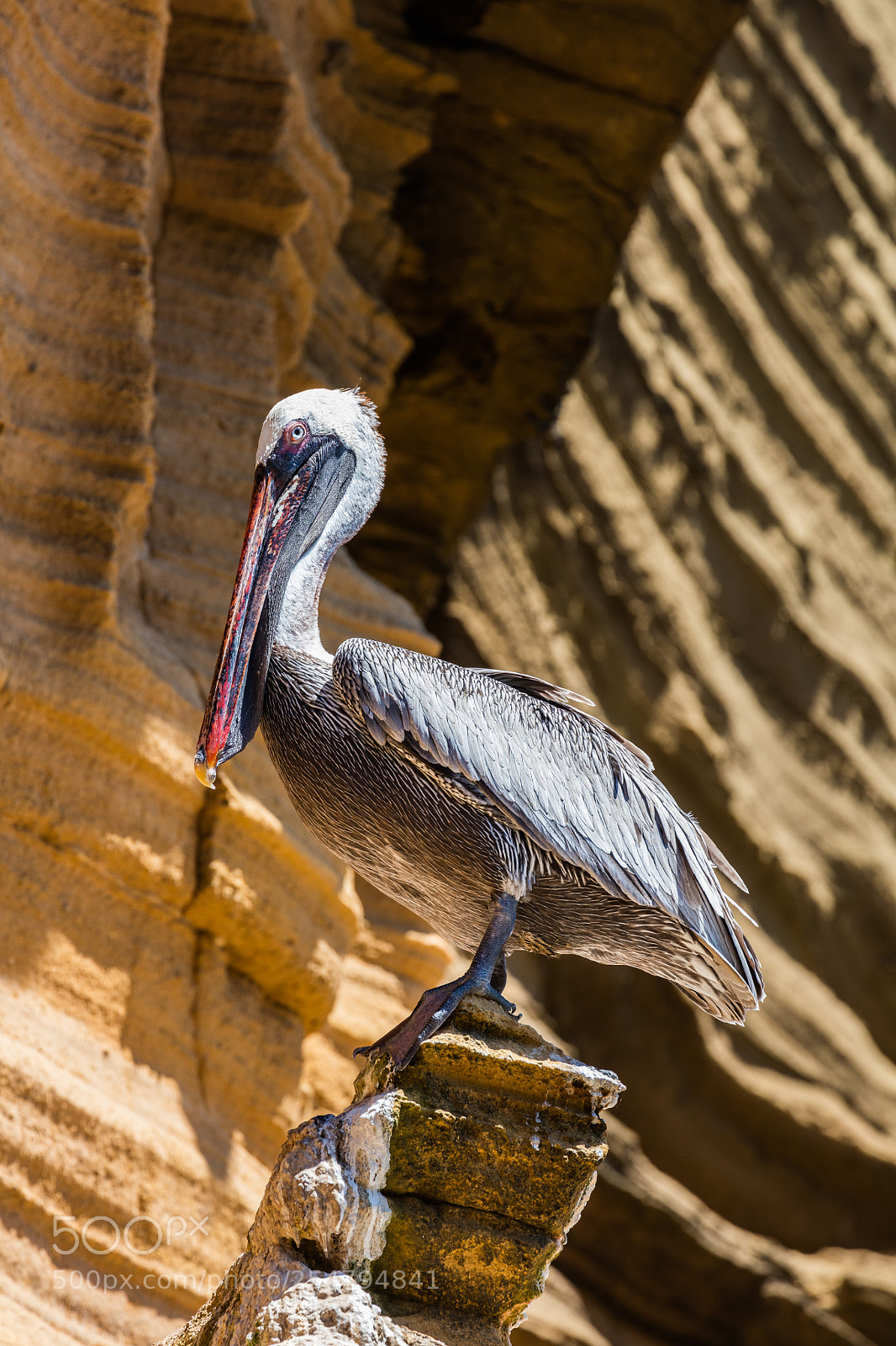 Canon EOS 5DS R sample photo. Picture of the day photography