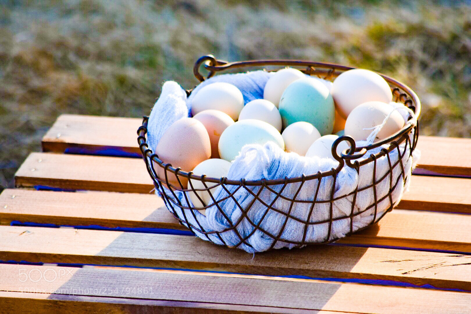 Nikon D5500 sample photo. Eggs photography