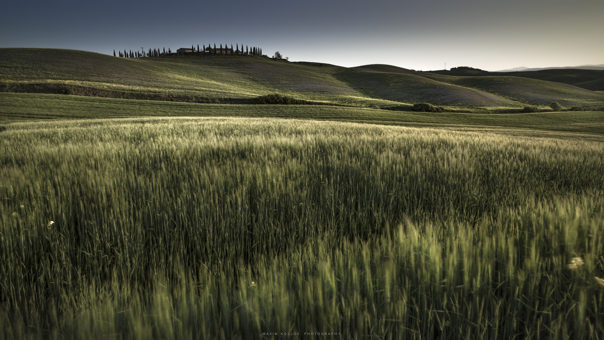 Hasselblad H6D sample photo. Toscana. photography