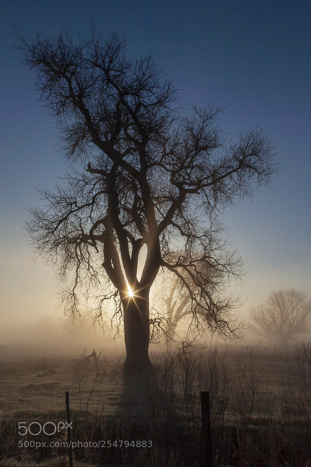 Canon EOS 5D Mark II sample photo. Bursting through photography