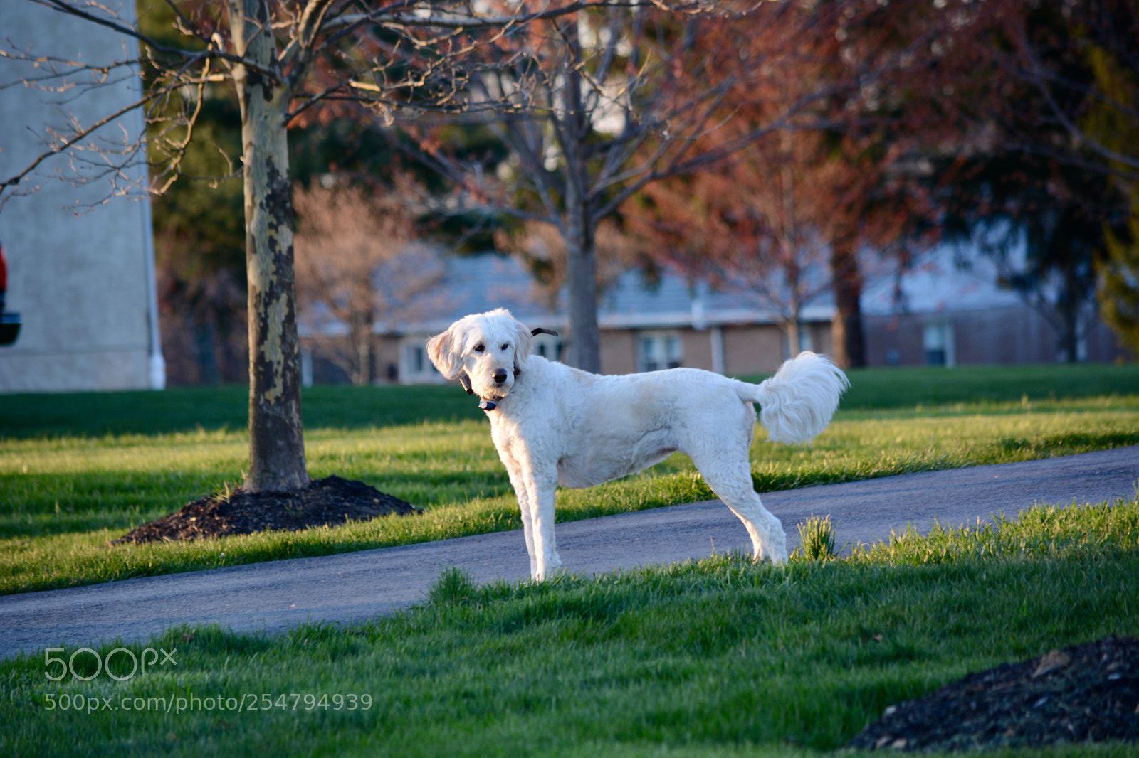 Nikon D7100 sample photo. Untitled photography