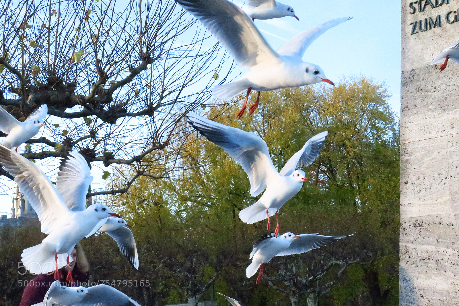 Canon PowerShot G3 X sample photo. Europa fall 2017 photography