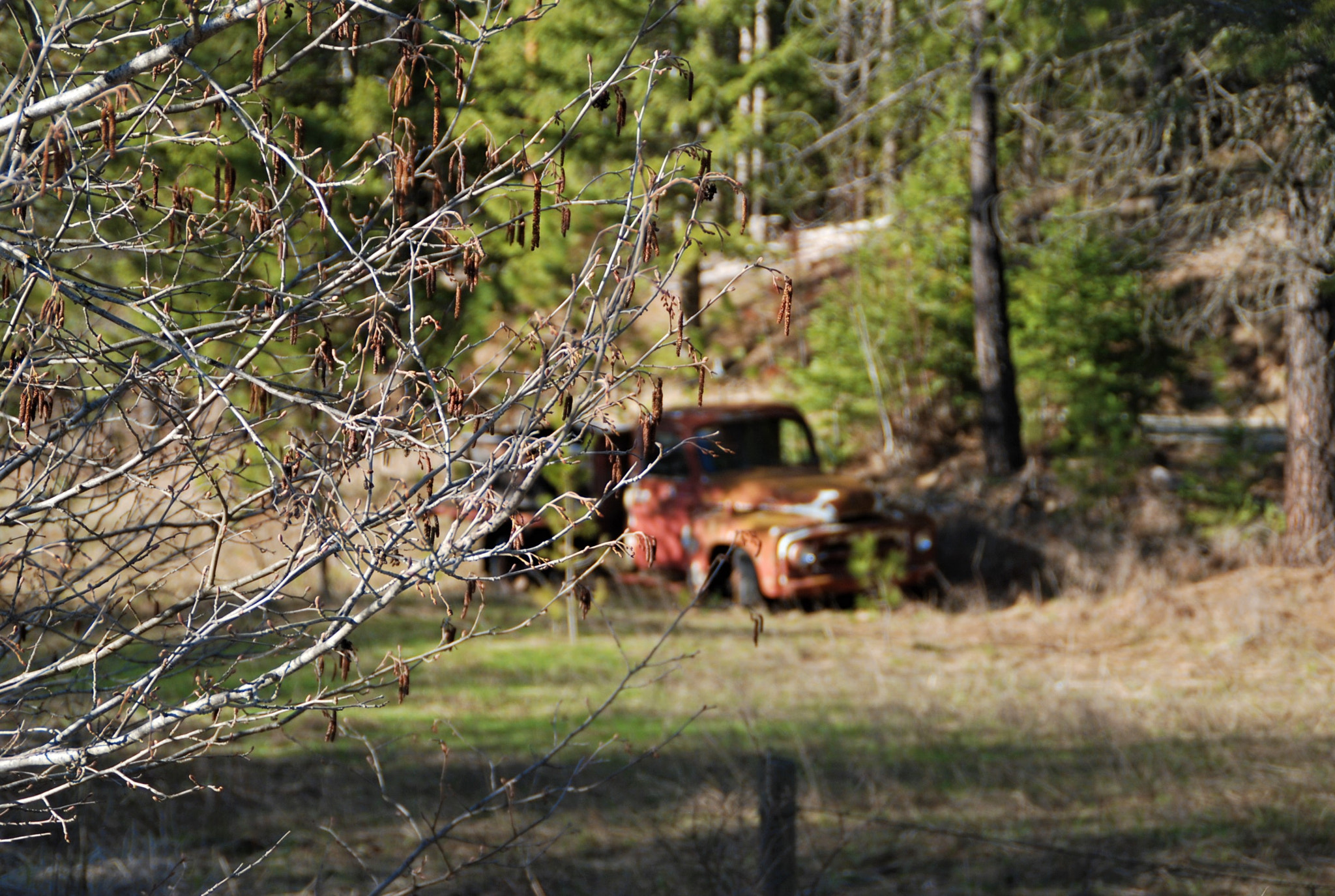 Nikon D80 sample photo. Busted photography