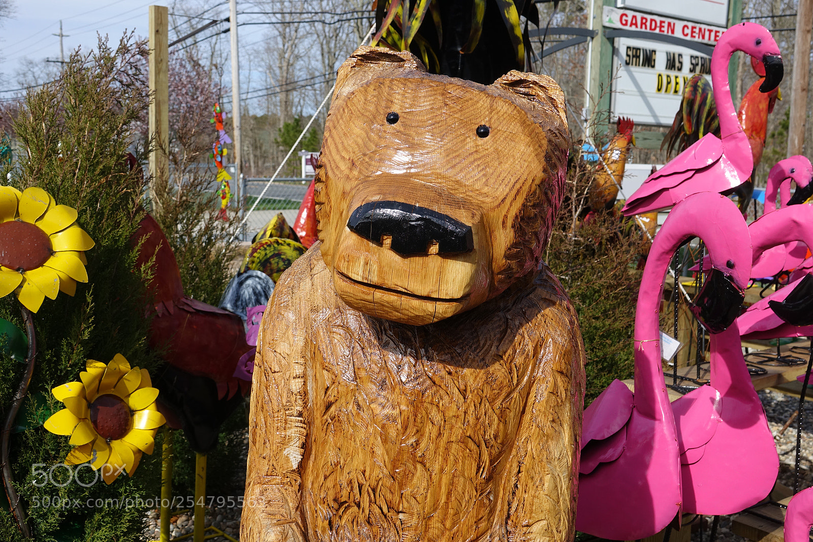 Sony Cyber-shot DSC-RX10 III sample photo. I’m listening  photography