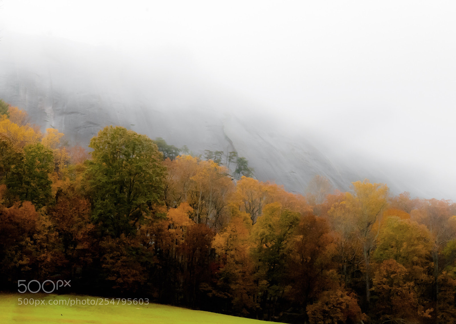 Nikon D5500 sample photo. Fall photography