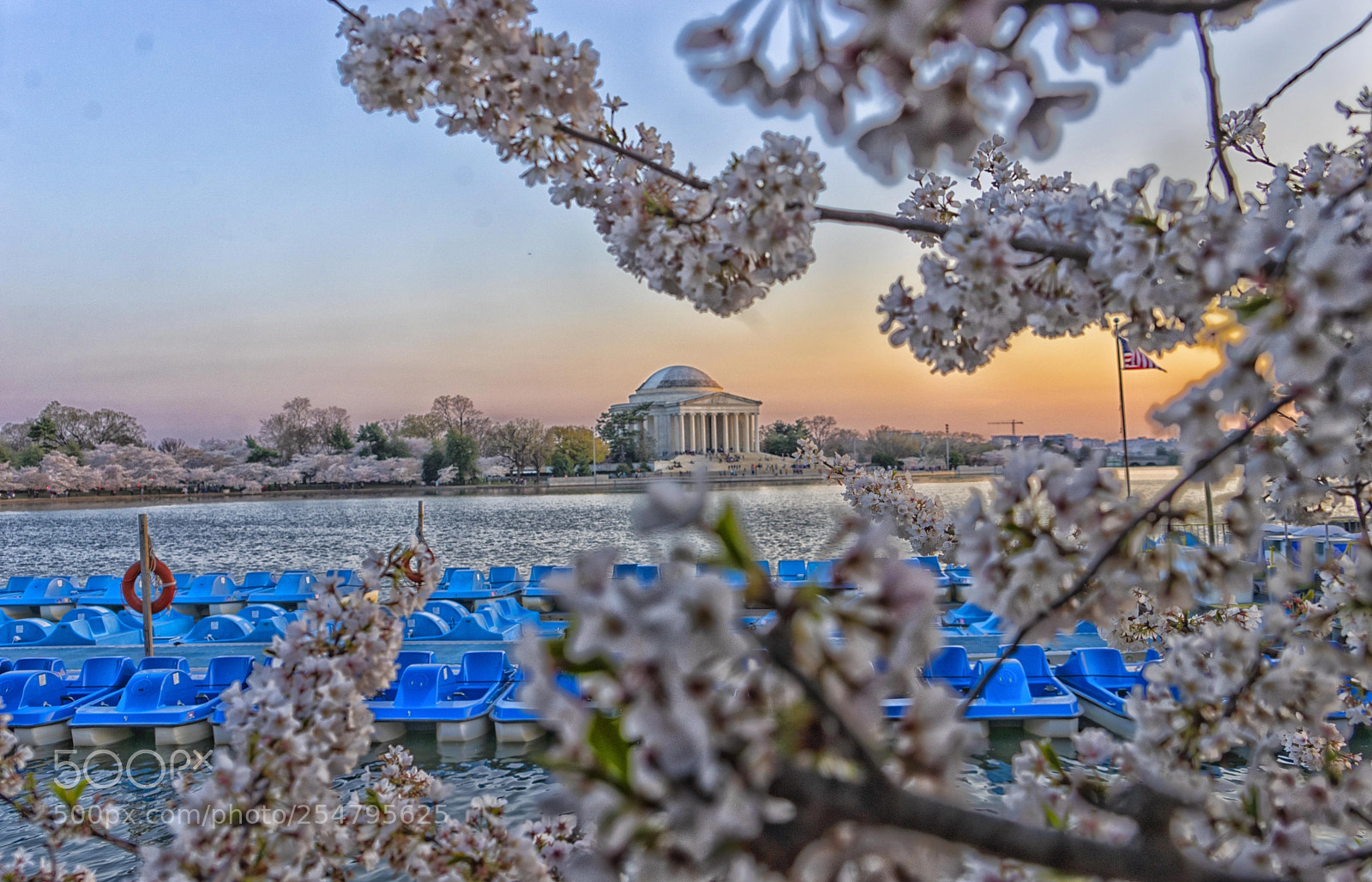 Sony a7 II sample photo. Cherry blossom frame photography