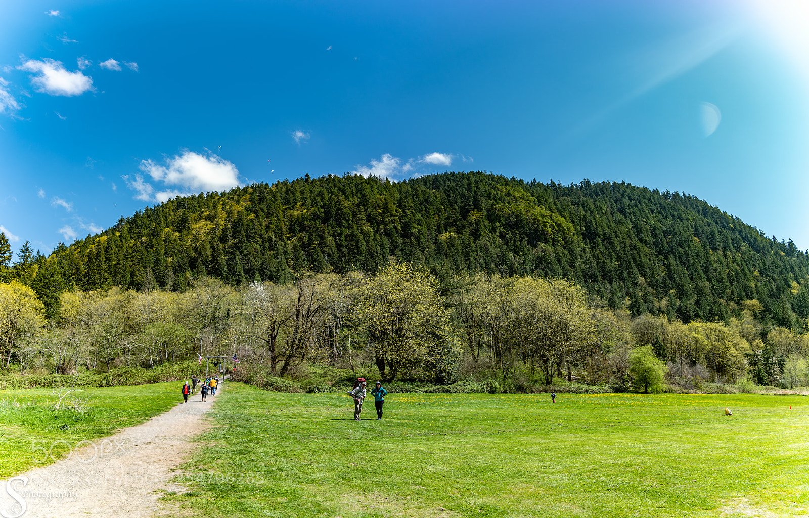 Nikon D810 sample photo. Ahh the greens and photography