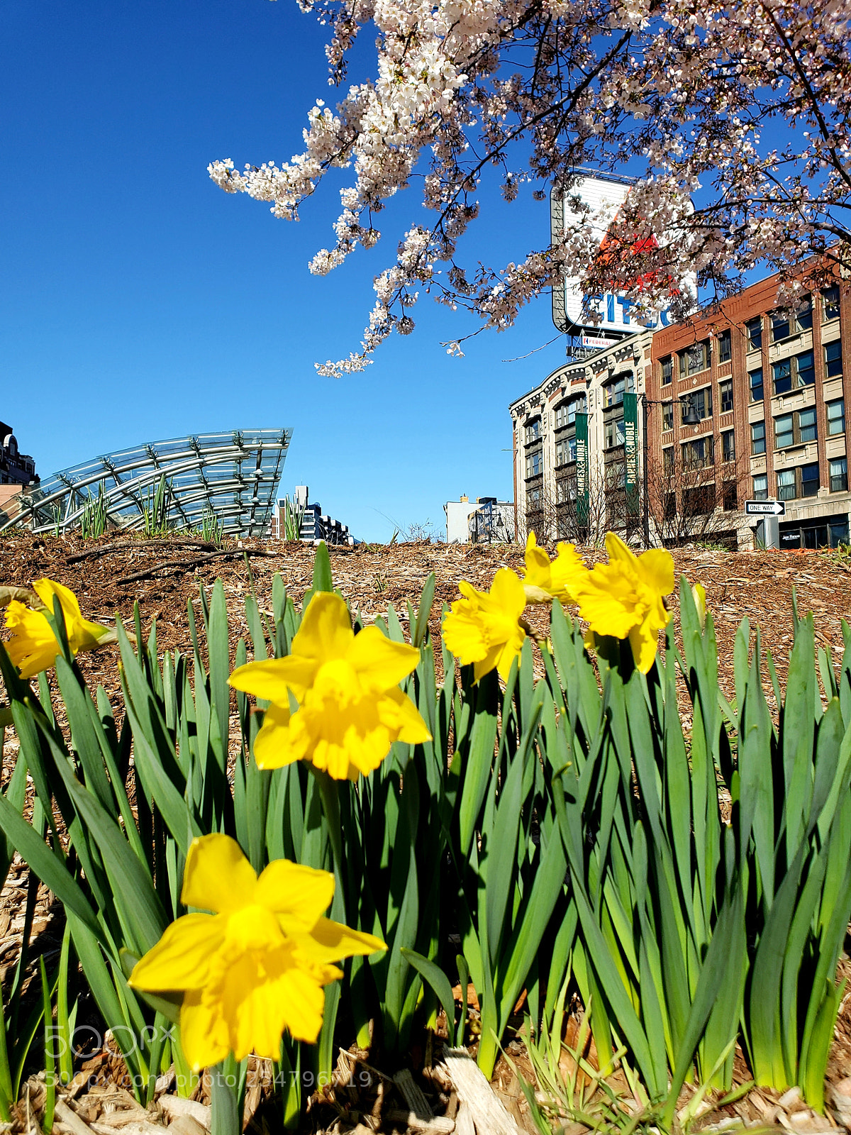 Samsung Galaxy S9 sample photo. Spring-ish photography