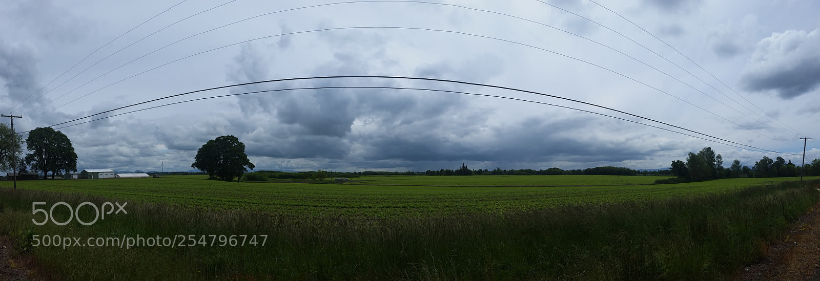 Samsung Galaxy S5 sample photo. Untitled photography