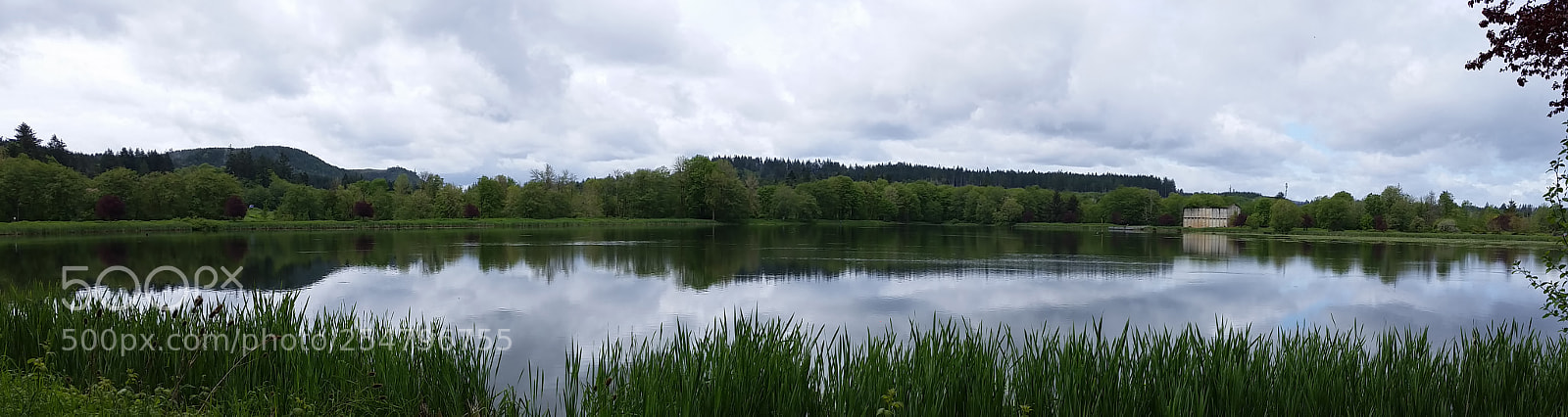Samsung Galaxy S5 sample photo. Untitled photography