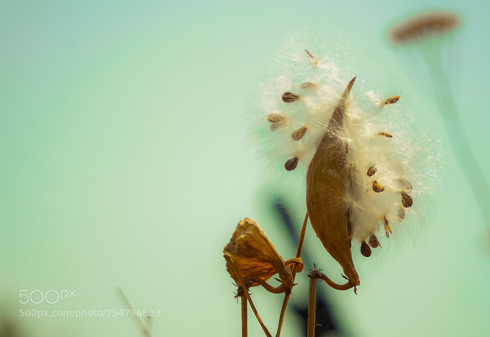 Sony a6000 sample photo. Waiting for the wind photography