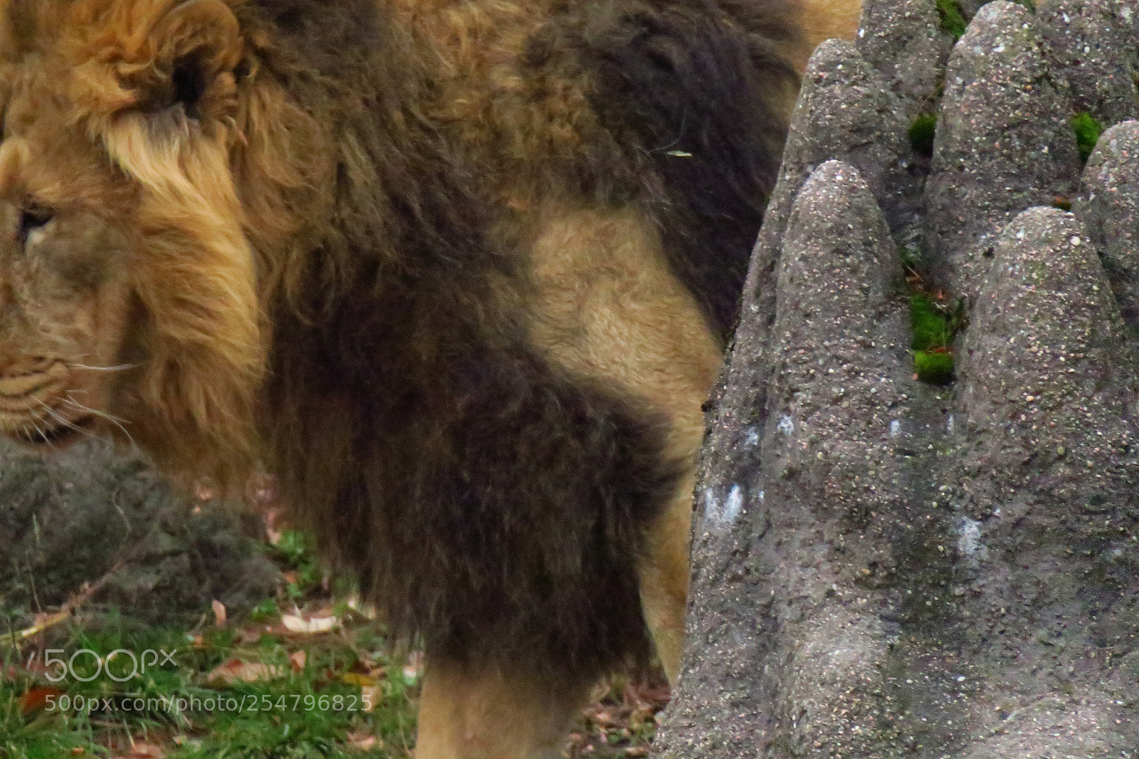 Canon PowerShot G3 X sample photo. Europa fall 2017 photography