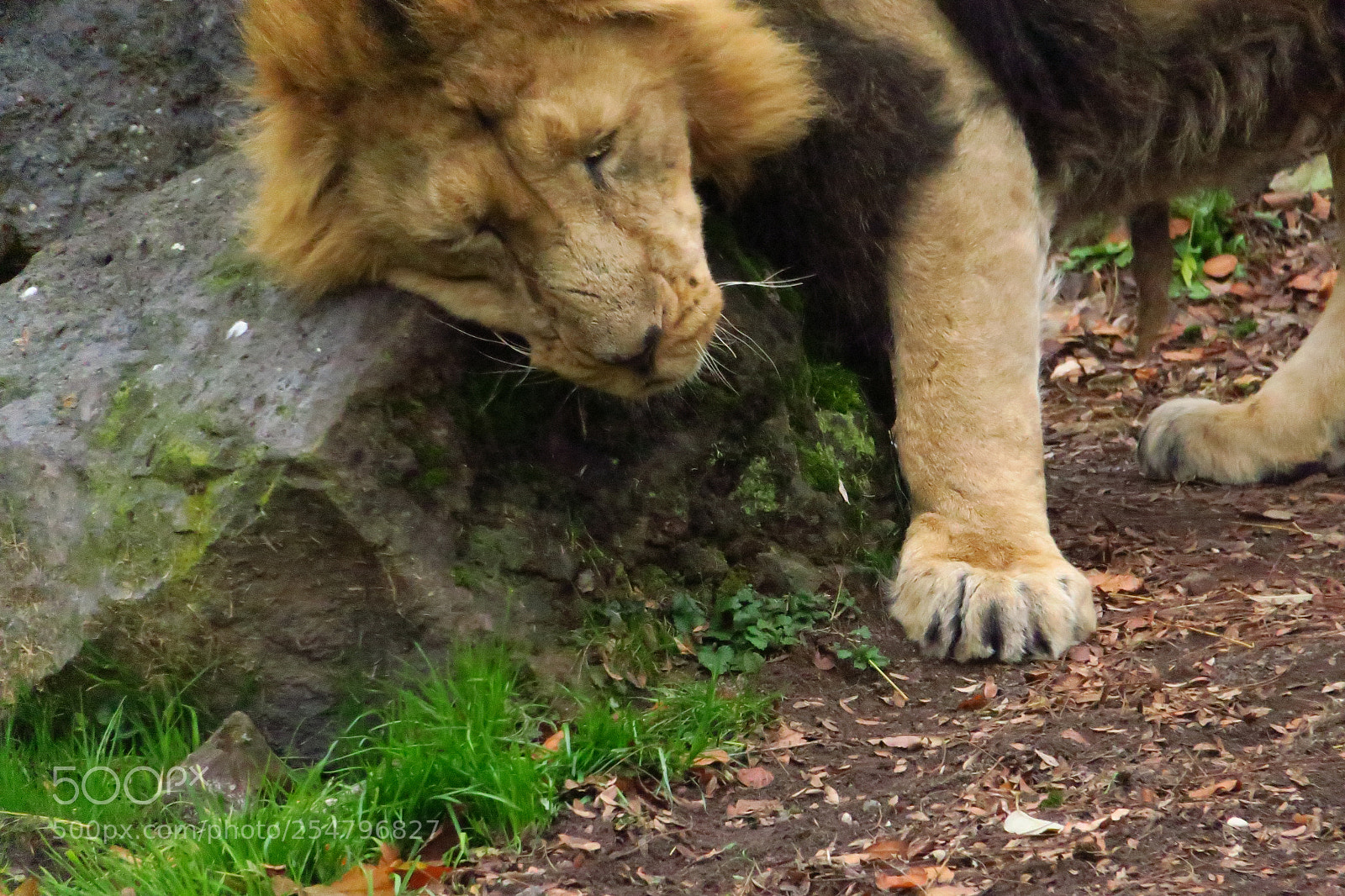 Canon PowerShot G3 X sample photo. Europa fall 2017 photography