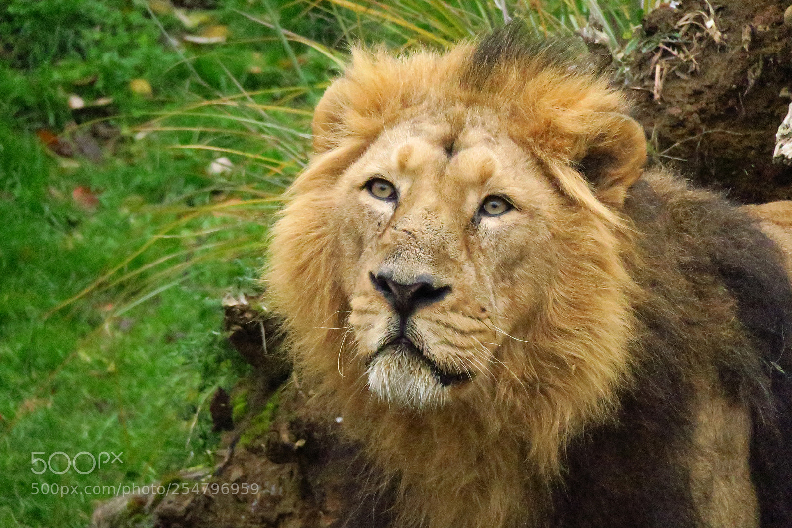 Canon PowerShot G3 X sample photo. Europa fall 2017 photography