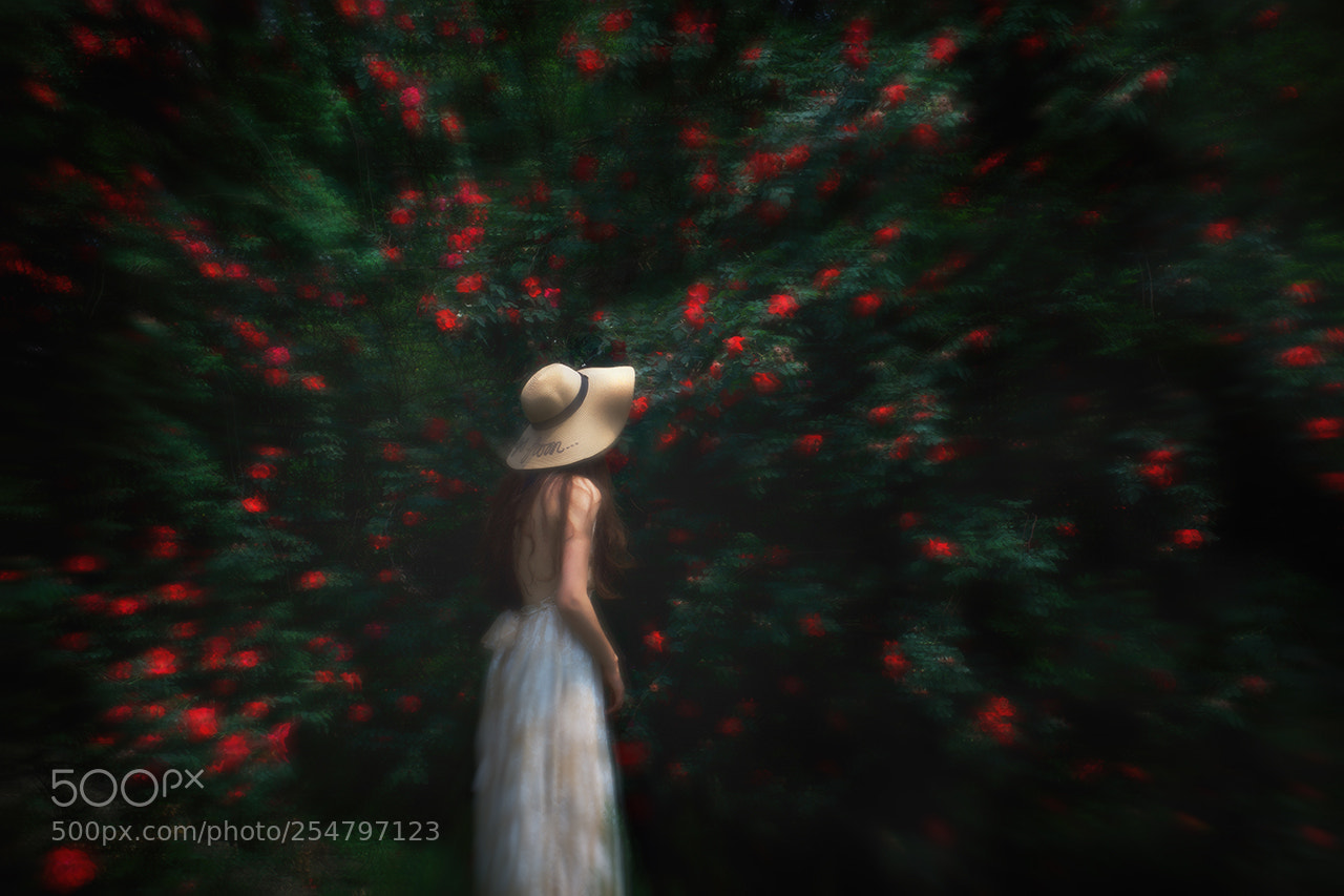 Canon EOS-1D X Mark II sample photo. Garden photography