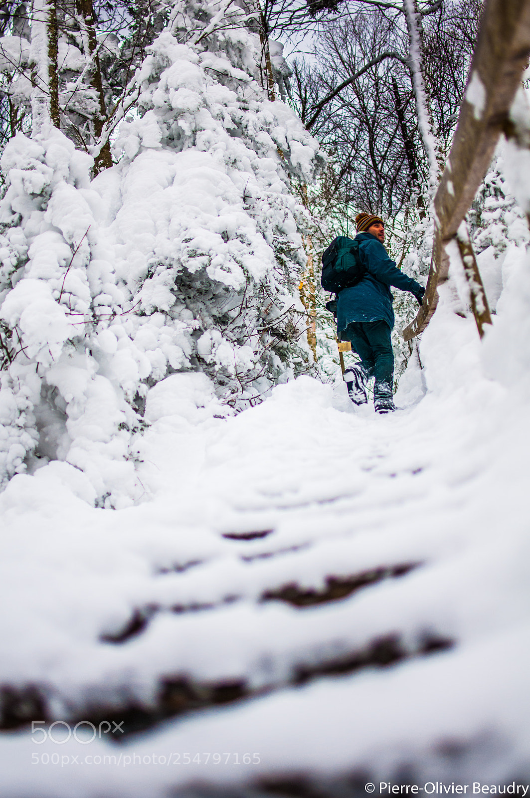 Nikon D300S sample photo. Throwback in the snow photography