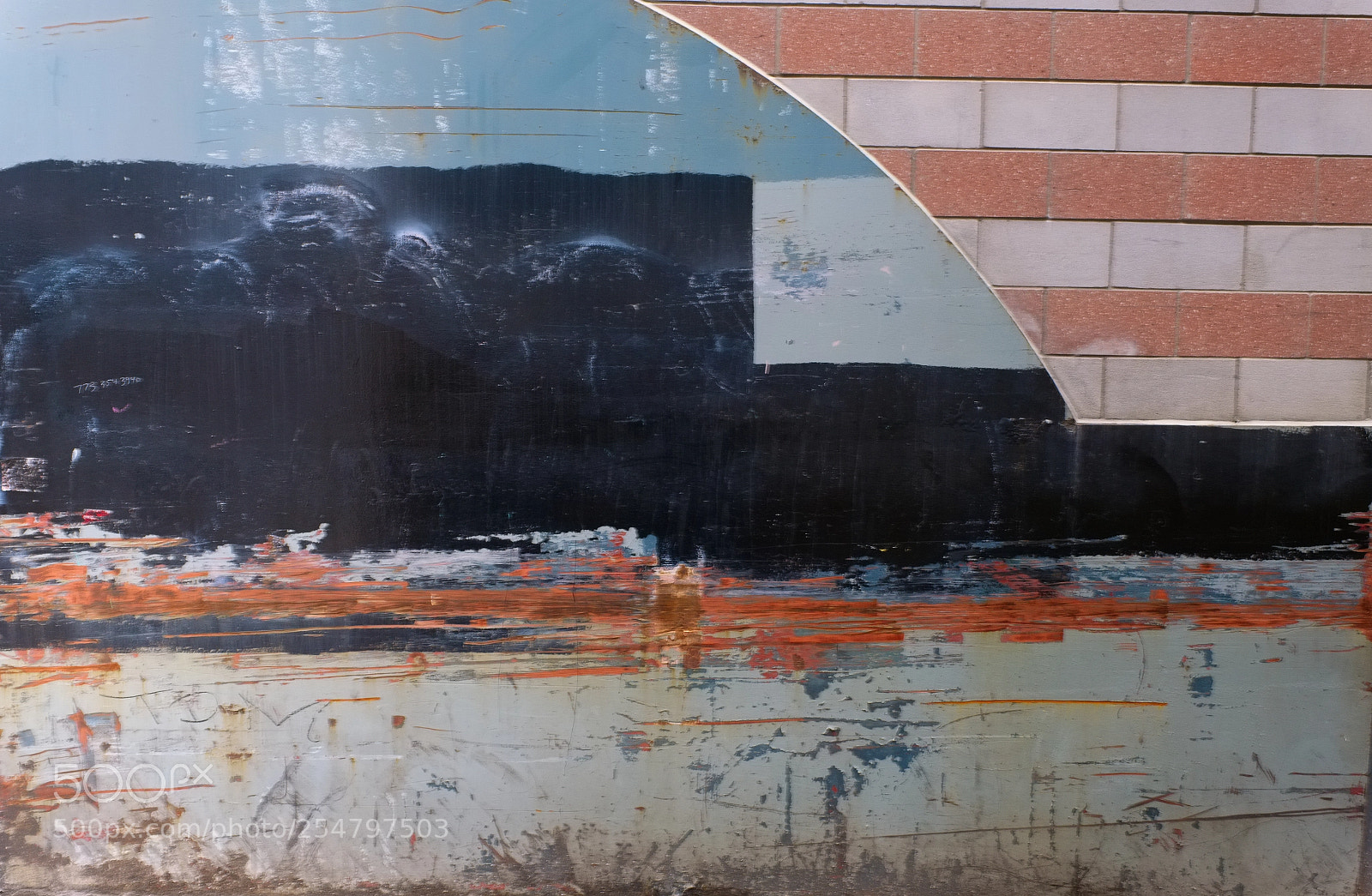 Fujifilm X-Pro2 sample photo. Red white and bruised photography