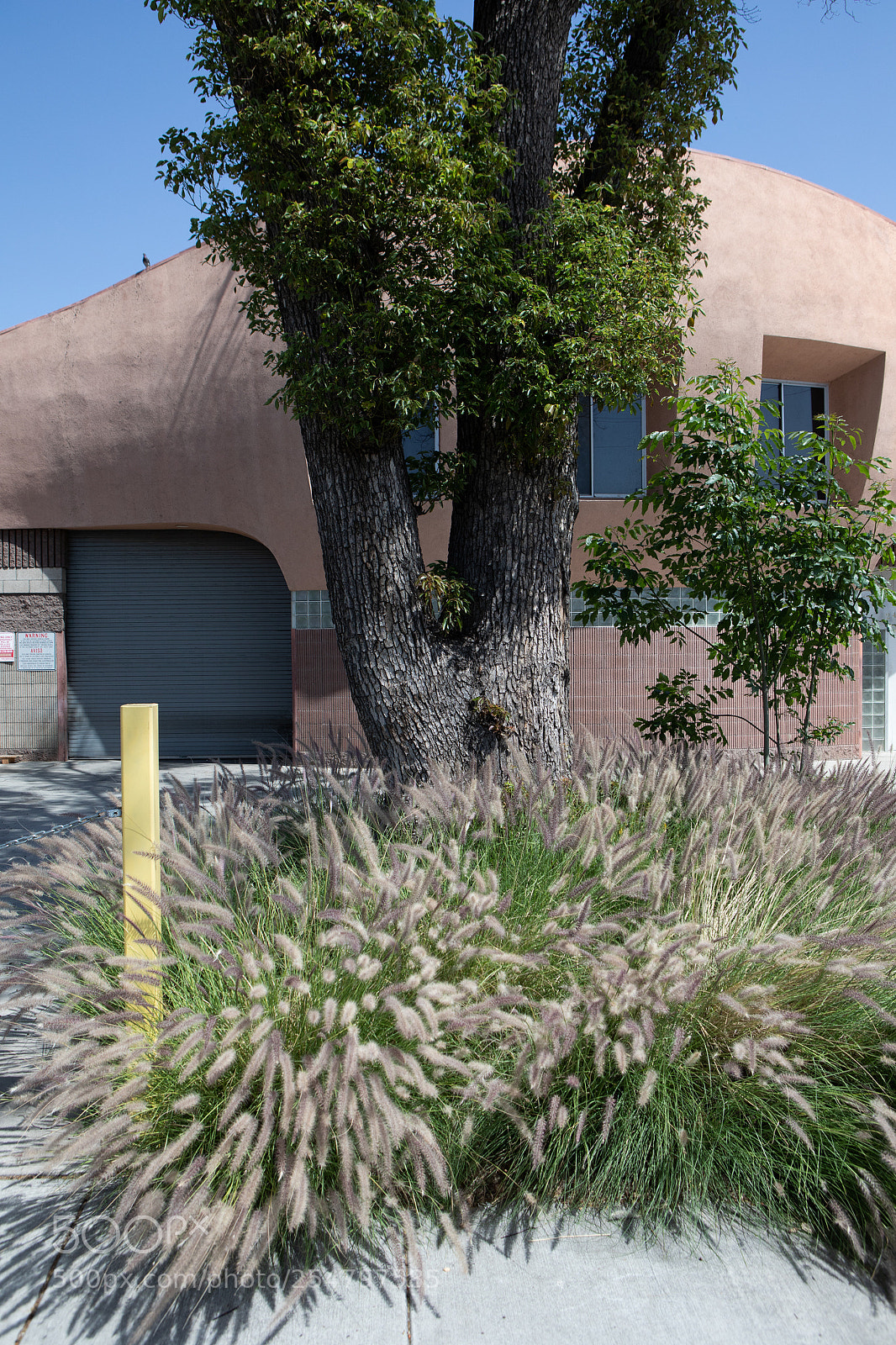Canon EOS 5D Mark IV sample photo. Industrial building lotus ave photography