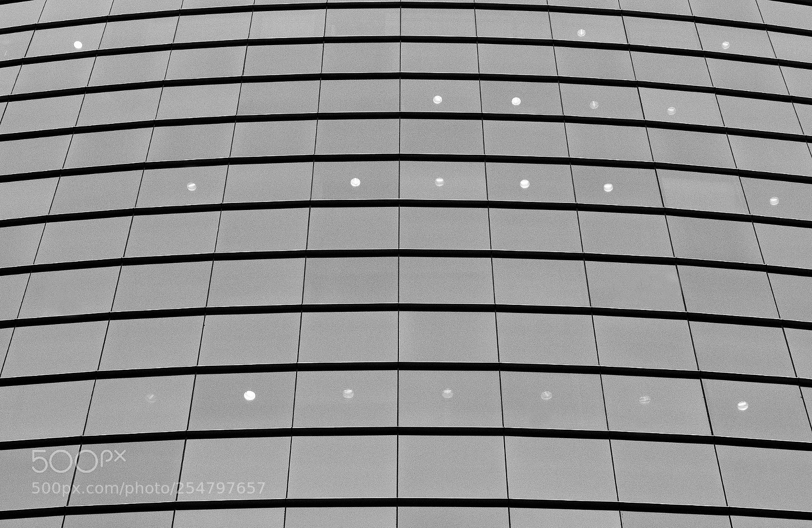 Canon EOS 600D (Rebel EOS T3i / EOS Kiss X5) sample photo. . photography