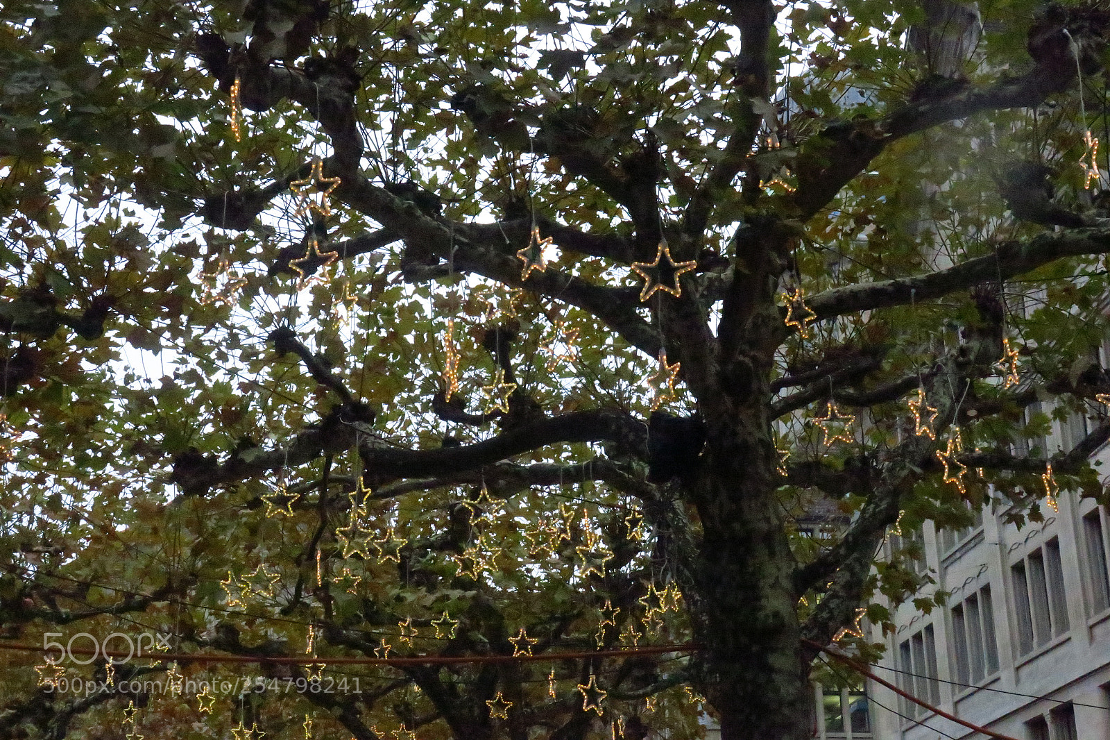 Canon PowerShot G3 X sample photo. Europa fall 2017 photography