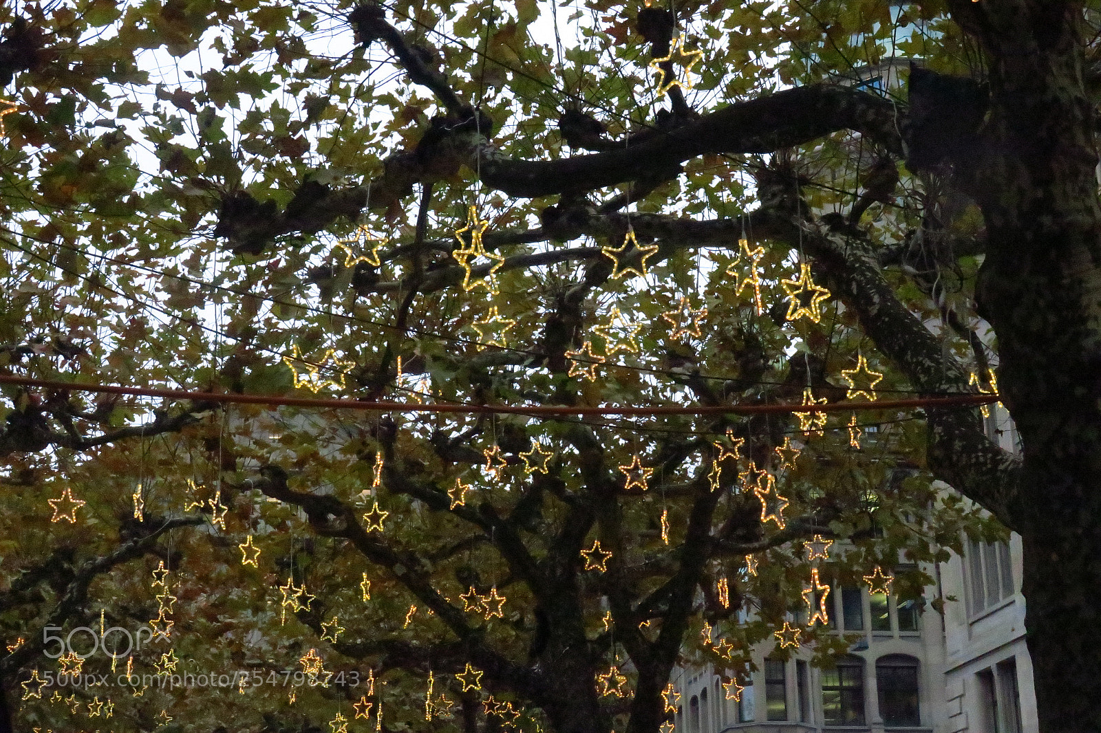 Canon PowerShot G3 X sample photo. Europa fall 2017 photography