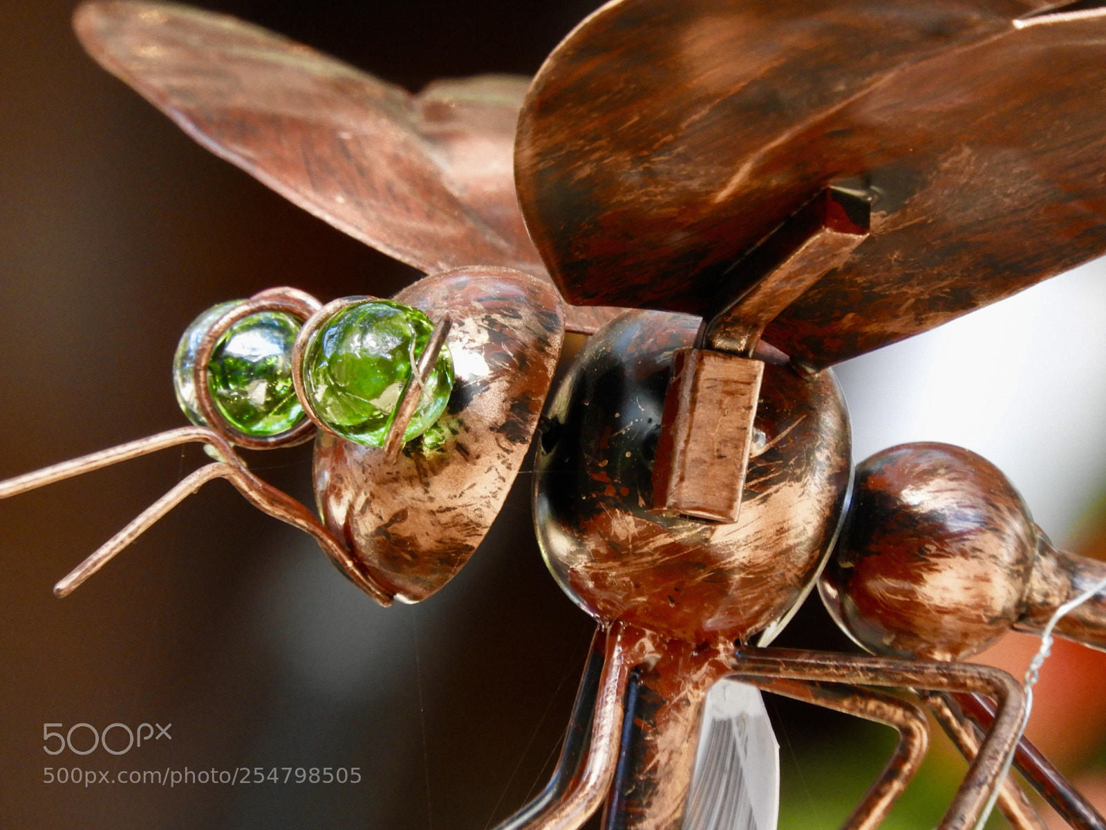 Nikon Coolpix B700 sample photo. Yard art dragonfly macro photography