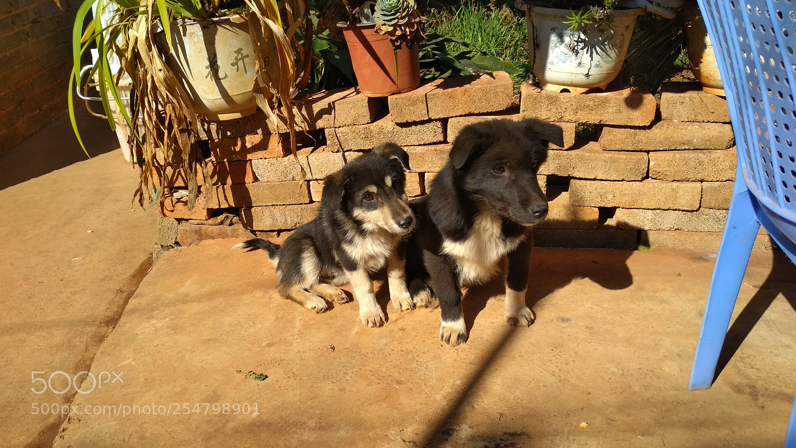 Xiaomi Redmi 4X sample photo. Img_20180215_105046.jpg photography