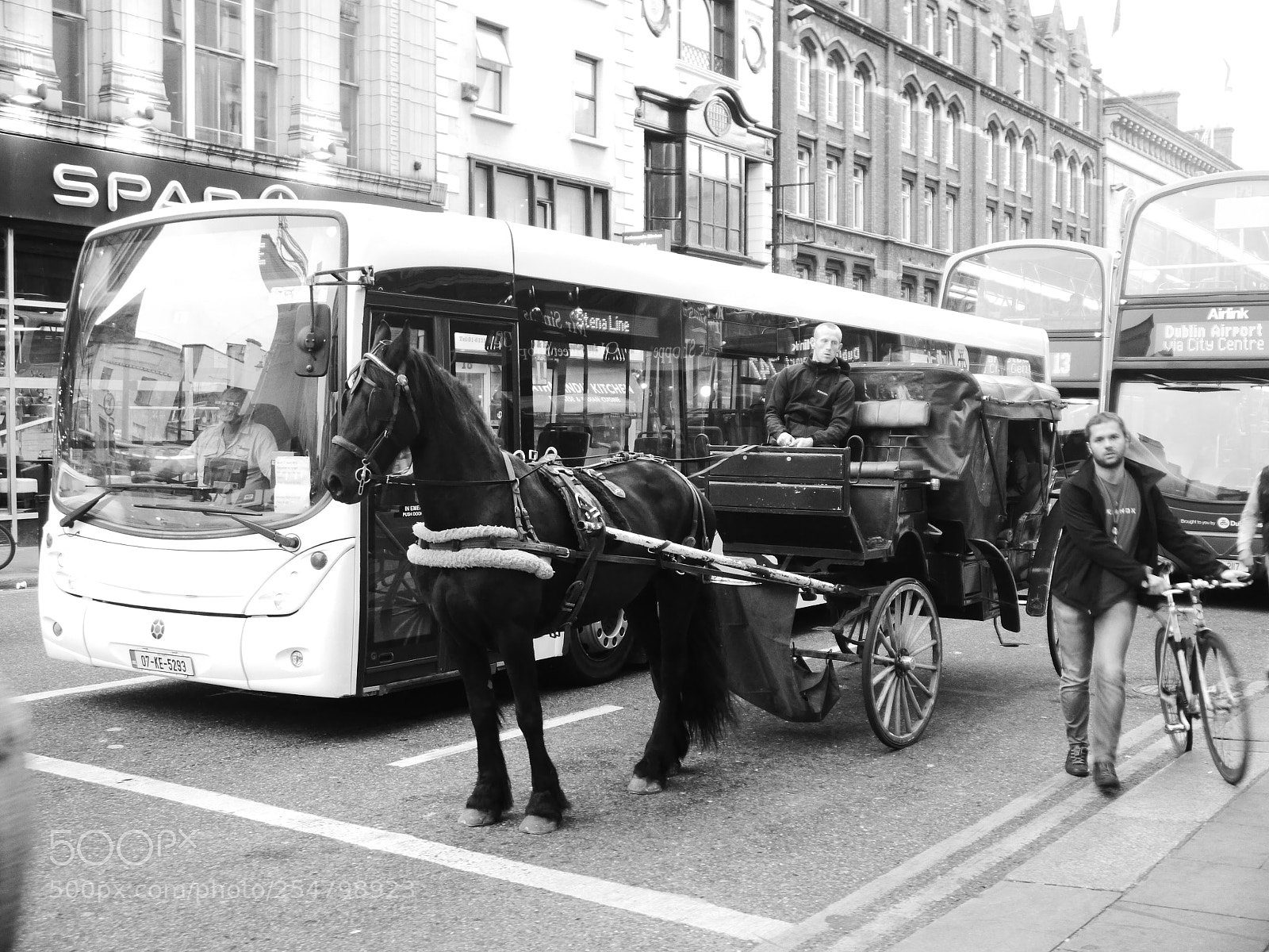 Panasonic Lumix DMC-G5 sample photo. Horse and cart photography