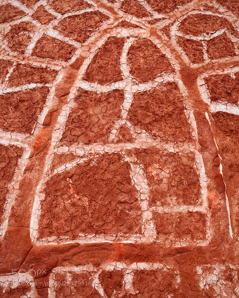 Canon EOS 5D Mark II sample photo. Stained mud window photography