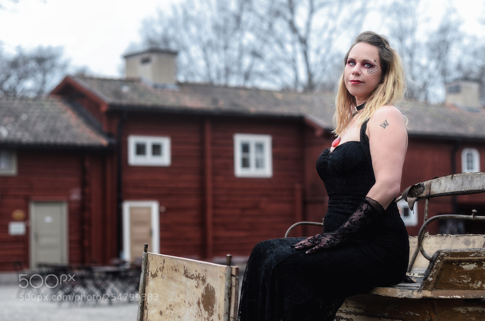 Nikon D7000 sample photo. Black widow photography