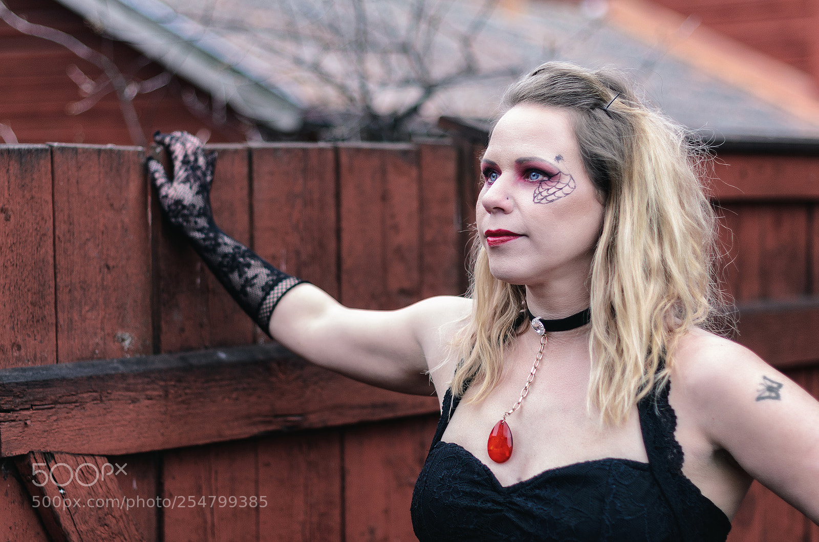 Nikon D7000 sample photo. Black widow ii photography