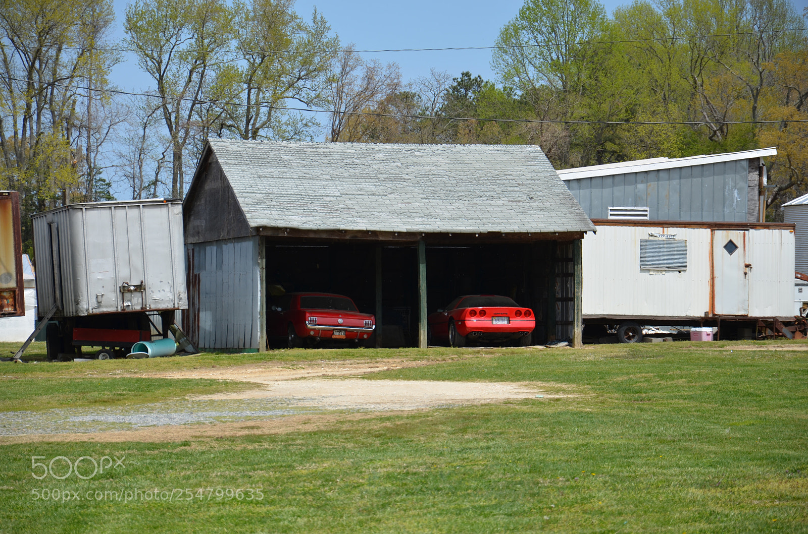 Nikon D7000 sample photo. Ford chevrolet sharing a photography